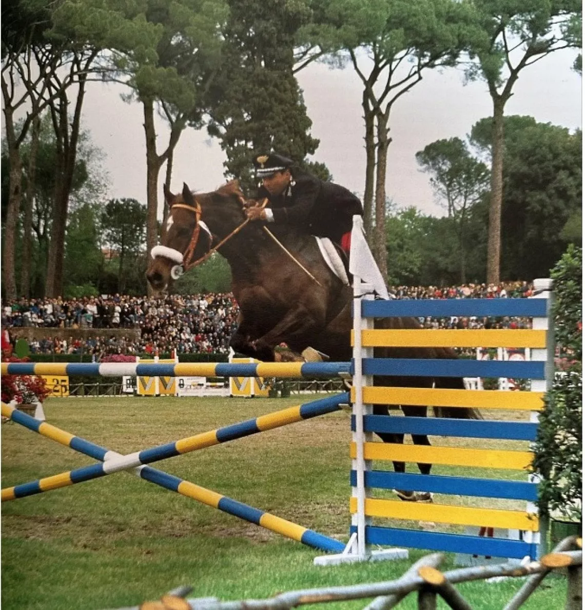 1990, Piazza di Siena, Rome, Effendi De Nora under the saddle of Giancarlo Gutierrez engaged in an international competition